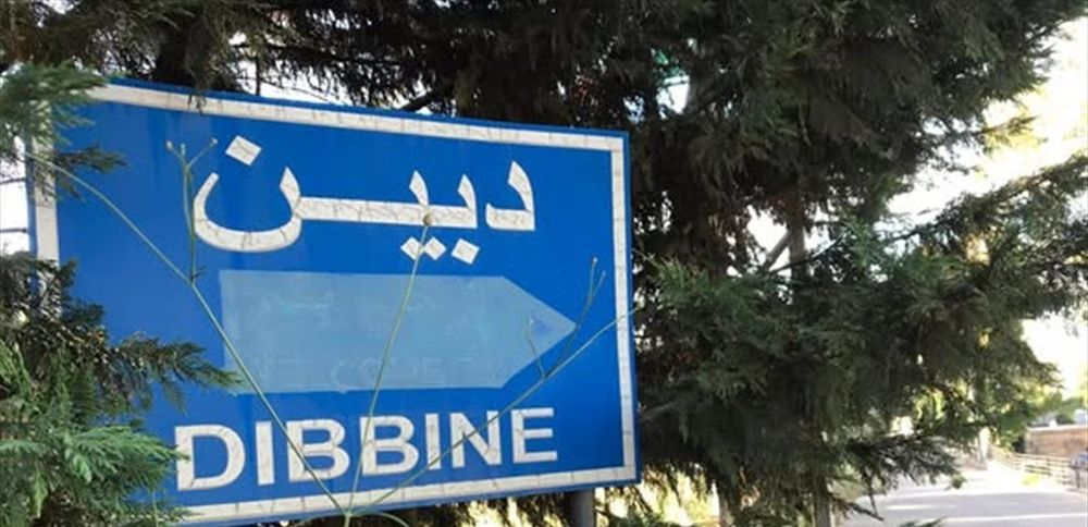 هل دخل الإسرائيلي على دبين وما أهمية البلدة؟ إليكم الإجابة على كل أسئلتكم!