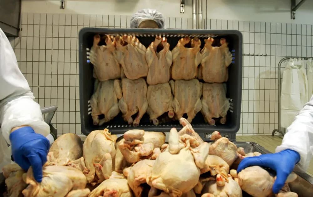 إليكم أسماء المطاعم الفاسدة وفقاً لتقرير الجديد