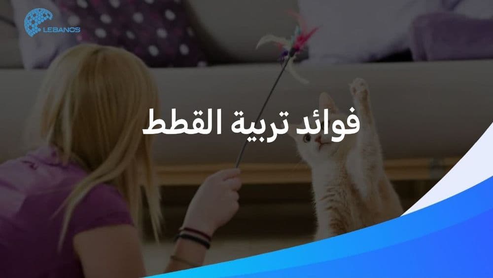 6 فوائد على صحّتك لتربية قطّة في منزلك. 