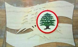 ردّ ناري من القوات... ما علاقتهم ب"أبو عمر"؟