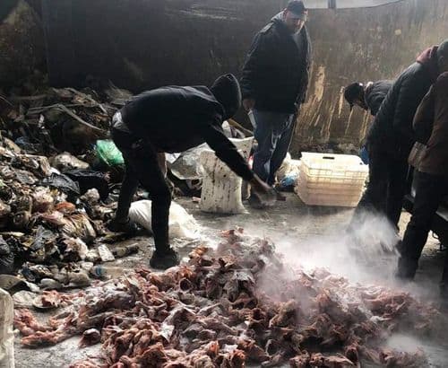 احذروا.. ضبط أكثر من 3 أطنان دجاج فاسد في هذه المنطقة!