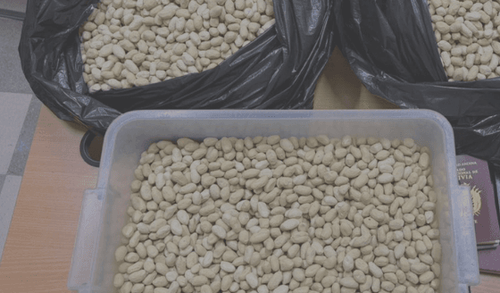 حبات فستق "بيج" مزيفة تثير الدهشة… ما حدث داخل مرفأ بيروت يفاجئ الجميع