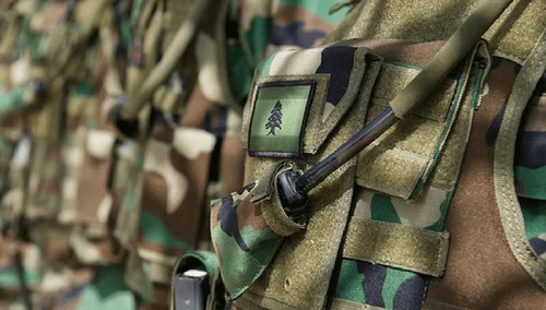 الجيش: إصابة ضابط وعسكريين بانفجار ذخائر في عيناتا