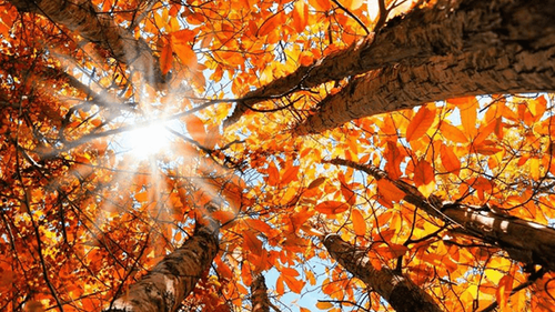 ما الذي يخبّئه الطقس نهاية هذا الأسبوع؟