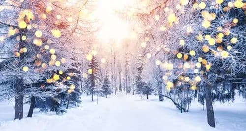 استراحة قصيرة.. وهذا ما ينتظرنا الاثنين!