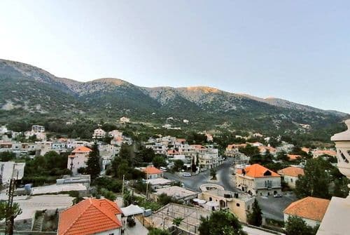 صدمة في معاصر الشوف.. جريمة مروّعة تهزّ البلدة!