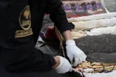 إحباط عملية تهريب ضخمة… إليكم أين أخفوا المخدرات!