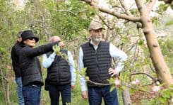 هل يتحوّل منزل جعجع إلى معلم سياحي؟.. إليكم ما يجري داخله