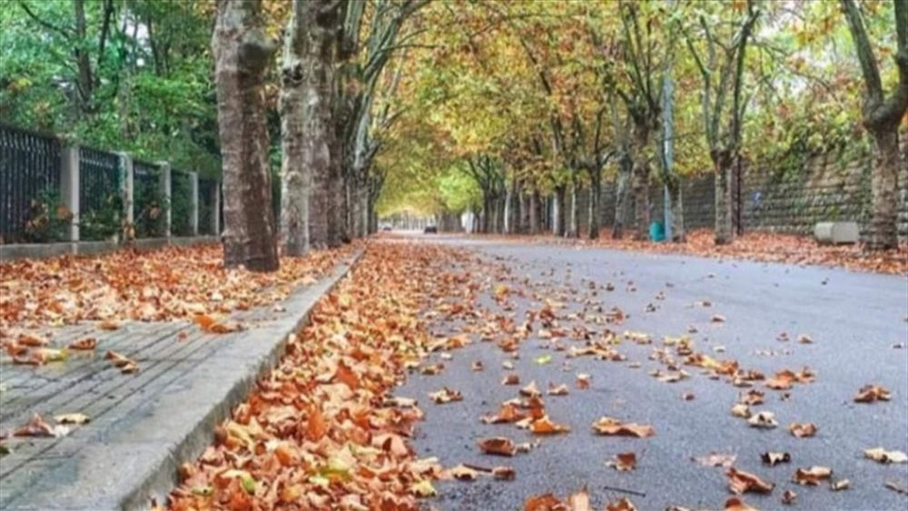 وداعًا للصّيف... بهذا الطّقس يصل الخريف إلى لبنان